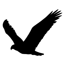 Eagle Wings Up Silhouette Ad Sponsored Sponsored Silhouette Wings Eagle Eagle Vector Eagle Silhouette Eagle Wings
