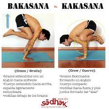 Variations once you perfect the. Bakasana Vs Kakasana Yoga Institute How To Do Yoga Advanced Yoga