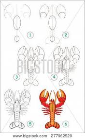 How to draw a lobster. Educational Page Kids Vector Photo Free Trial Bigstock
