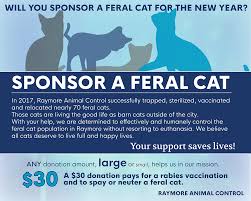 Your cat will receive a small green tattoo on the abdomen, which readily indicates that he/she has been neutered/spayed and negates any question that your cat has been sterilized. Feral Cat Program City Of Raymore Mo