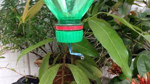 I would not recommend them for use as an everyday water bottle. Soda Bottle Watering Sistem Make A Sustainable Drip Water Irrigation Youtube