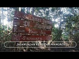 Pulau malawali, hutan simpan sungai lasun dan pulau evans, hutan simpan dara sepilok dan hutan simpan kerangas  selain itu, sabah juga terkenal dengan pusat pelancongan yang mengekalkan alam sekitar yang cantik. 022 Explore Ke Hutan Mangrove Rawa Mekar Jaya Daily Vlog Youtube