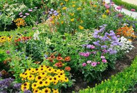 Garden fences and garden fencing helps set borders around perennial gardens, keep pests away from prized plants, and add privacy to any yard. Annual Vs Perennial Flowers To Plant This Spring Experigreen