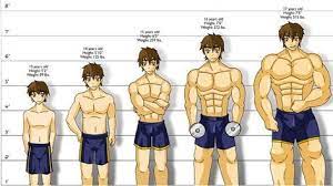 How Long Does It Take To Build Muscle Build Muscle Muscle Building Tips Muscle Building Workouts