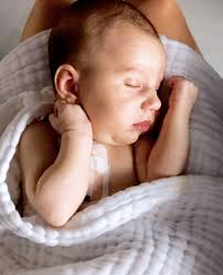 ASHF 2023 Annual Report by builtbyblacktop