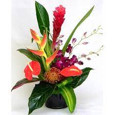 Maybe you would like to learn more about one of these? Poipu In Costa Mesa Ca Island Florals