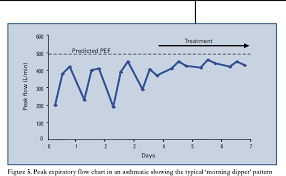 figure 5 from spirometry an essential clinical measurement