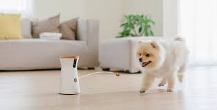 Furbo Dog Camera Review A Good Way To Keep An Eye On Your Pets