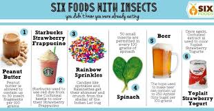 In 2013 The U N Told Us To Rethink What We Eat Three Women Have A Creative Solution Eat Eating Insects Bug Food