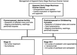 Stages of ovarian cancer are as follows Early Stage Mucinous Ovarian Cancer A Review Sciencedirect