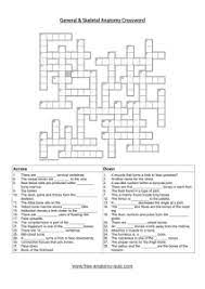 Bone basics and bone anatomy. Chapter 7 Skeletal System Learning Outcomes