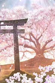 We did not find results for: Sakura Blossom Anime Landscape Japanese Clothes Anime Sakura Wallpaper Iphone 640x960 Download Hd Wallpaper Wallpapertip