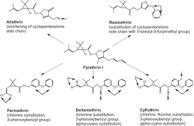 Image result for Pyrethroid