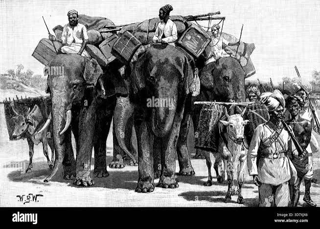 Elephant people india Black and White Stock Photos & Images - Alamy