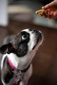 If you want a chewy treat that's still low calorie, hillside farms duck jerky premium dog treats will be a hit with your pooch. Homemade Dog Cookies A Mind Full Mom