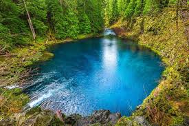 We did not find results for: The Blue Pool Is One Amazing Place In Oregon You Need To See For Yourself That Oregon Life