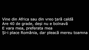 We did not find results for: Nicole Cherry Vara Mea Lyrics Versuri Youtube