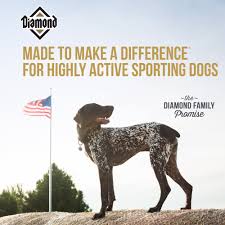 All american pet proteins was formed in 2014 and is based in greeley, colorado. Hi Energy Formula For Adult Dogs Diamond Pet Foods