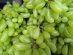 It also contains about 2 calories that come from fat. Grape Wikipedia