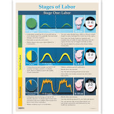 Phases And Stages Of Labor Tear Pad
