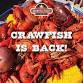 All You Can Eat Crawfish! Live Music with Aaron Jacob!