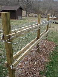 Can You Eat Wine Grapes Garden Planning Garden Trellis