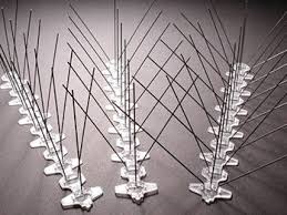 Bird b gone bird spike stainless steel and plastic bird spikes keep birds from landing, roosting in unwanted areas. Pin On Security Spikes