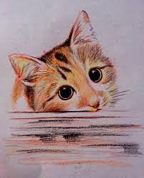 My 20 Minute Color Pencil Sketch Of A Kitty Aww It depends on how carried away i get with the idea. my 20 minute color pencil sketch of a