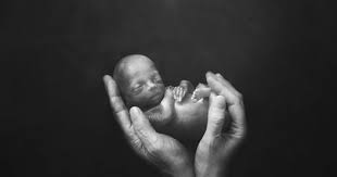 We did not find results for: Pakkende Beelden Boven De Wolken Wint Prijs Voor Foto S Van Overleden Kindjes Om Ouders Te Helpen Bij Rouwproces Hasselt Hln Be