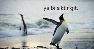 Ya Bi Siktir Git Kus Resimleri Hayvan Basliklari Hayvanlar