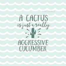 To ask other readers questions about a cactus is just a really aggressive cucumber., please sign up. 100 Best Punny Cactus Ideas Cactus Punny Cactus Quotes
