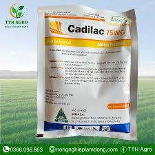 Cadilac 75WG
