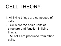This theory revolves around the fact that no matter what type of organism we view under a microscope, the organisms are clearly divided into a number. Cell Theory 1 All Living Things Are Composed Of Cells Ppt Video Online Download