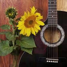 Lihat ide lainnya tentang bunga matahari, bunga, matahari. Stream Jkt48 Himawari Bunga Matahari Guitar Cover By Muhchaidir Listen Online For Free On Soundcloud