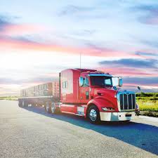 Image result for tbn:jrcYnUbf_HstjM::www.raheeq.com/pictures/c3a6af806428e8da3ebbfd219d0c309d.jpg