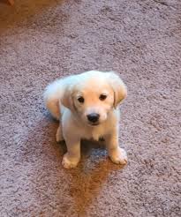 8 weeks we neet a name for this baby girl