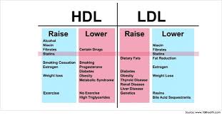 High Cholesterol High Hdl Low Triglycerides Cardiac Health