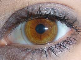 Therefore, it's safe to say that either green or amber is. 6 Rare And Unique Eye Colors Owlcation