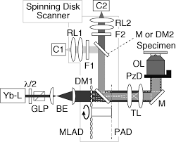Modular sources are available for illumination, excitation and calibration, with options for uv, visible and nir wavelengths. Optical Set Up Of Our Two Photon Excitation Laser Scanning Microscope Download Scientific Diagram