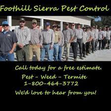 Preferred pest control orange county. Foothill Sierra Pest Control 22 Reviews Pest Control 11072 Mountain Brow Rd Sonora Ca Phone Number