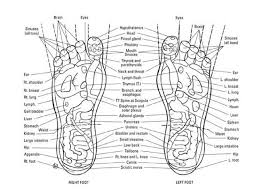 free foot reflexology charts 35 free printables word pdf