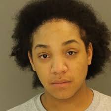 Police: Lancaster woman struck constable with car, led officers