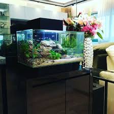 Beautiful Aquascape Freshwater Tank Aquarium Aquascape Freshwater Aquarium