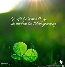 Pin Von Clara Sonne Auf Zitate Inspirierende Spruche Spruche Spruche Zitate Leben