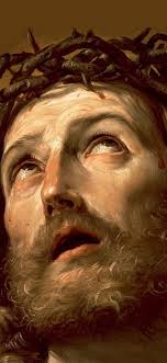 двоичный кот в вакууме 🏳‍🌈🇮🇱🎗︎ (@SimbalLien)