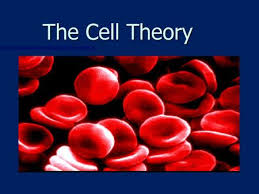 The discovery of the cell. 7 1 Life Is Cellular Lesson Objectives State The Cell Theory Ppt Download