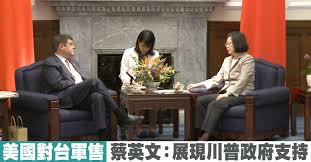 Image result for 美國支持蔡英文