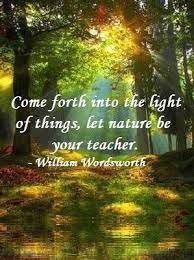 Your love hath been, nor long ago, a the world is too much with us; Nature Quote Come Forth Into The Light Of Things Let Nature Be Your Teacher William Wordsworth Nature Quotes Light Of Life Nature