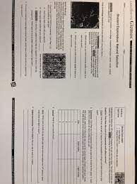 Student exploration evolution natural and artificial selection gizmo answer key + my pdf. Assingments Evolution Mr Velasquez