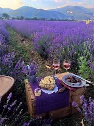 Find flowers italy on theanswerhub.com. Walking Around Italy On Twitter A Dreamy Aperitif On The Hills Of Viano Surrounded By Fragrant Lavender Fields Beautiful Italy Flowers Landscapephotography Travel Wine 10novembre Tuesdayvibe Coronavirus Covid19 Https T Co Nnh6rqq7ue